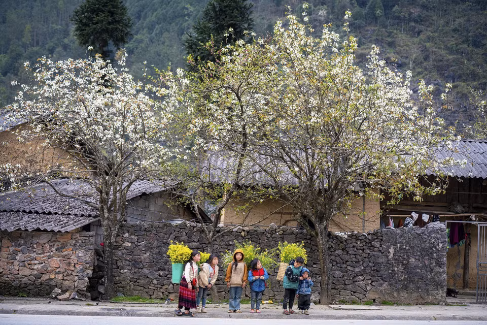 The harmony between Ha Giang’s natural beauty and its warm-hearted people is a major draw for tourists. (Photo: VNA)