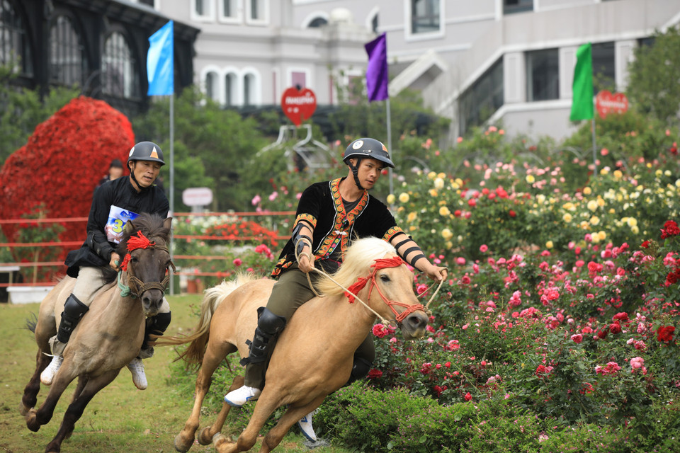 Festive atmosphere at the Horse Racing Festival in the Clouds at Sun World Fansipan Legend tourist site. (Photo: VNA supplied)