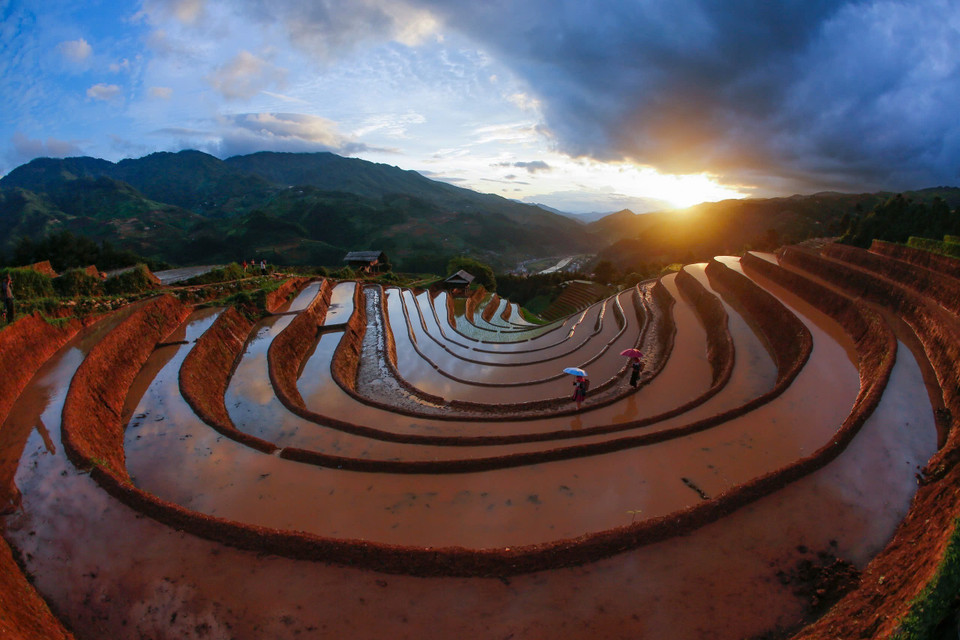Water pouring season on terraced fields in Mu Cang Chai. (Photo: VNA)