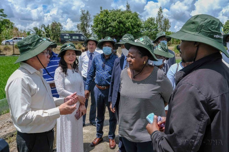 During her visit to Can Tho city, the President of the Assembly of Mozambique visits a rice experiment field of the Mekong Delta Rice Research Institute in Thoi Lai district (June 23, 2022). (Photo: VNA)