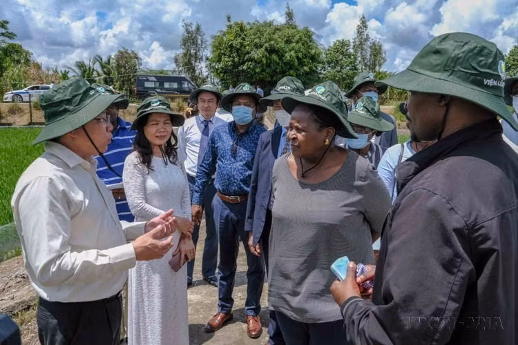 During her visit to Can Tho city, the President of the Assembly of Mozambique visits a rice experiment field of the Mekong Delta Rice Research Institute in Thoi Lai district (June 23, 2022). (Photo: VNA)
