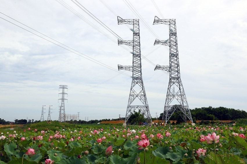 The 500kV transmission line project from Quang Trach to Pho Noi represents a patriotic emulation movement marked by creative, resolute, and rapid labour efforts by the entire political system, ministries, sectors, localities, and power sector workers, aiming to urgently address electricity shortages in northern Vietnam. (Photo: VNA)