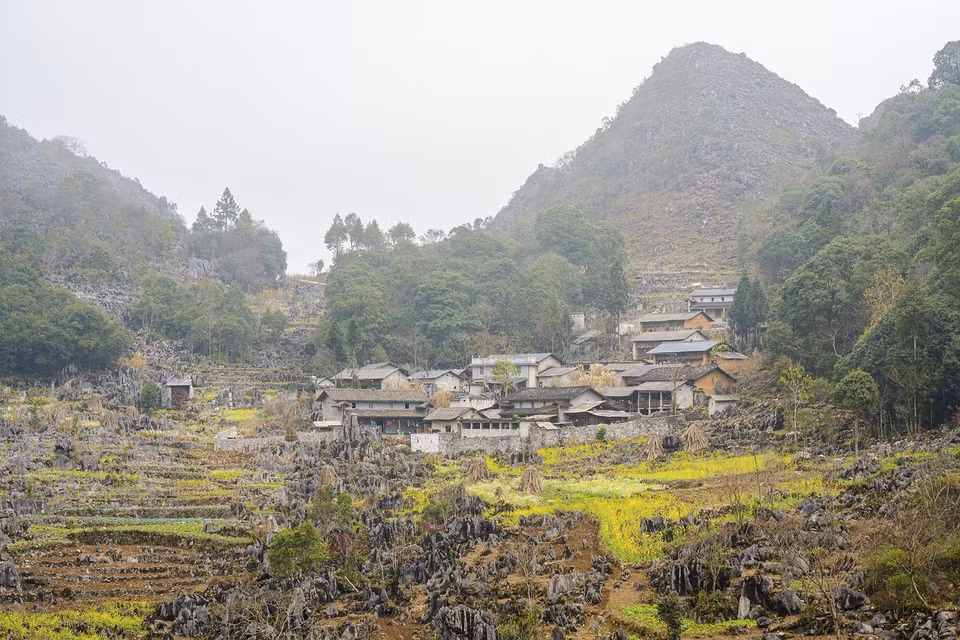 Houses perched on rocky slopes alongside blooming mustard fields create a signature springtime scene in Ha Giang. (Photo: VNA)