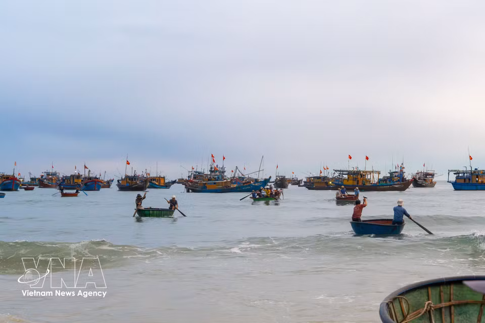 As the fish market winds down, the boats rest quietly along the shore and the fishing village settles back into its everyday rhythm. (Photo: Xuan Quy/VNA)