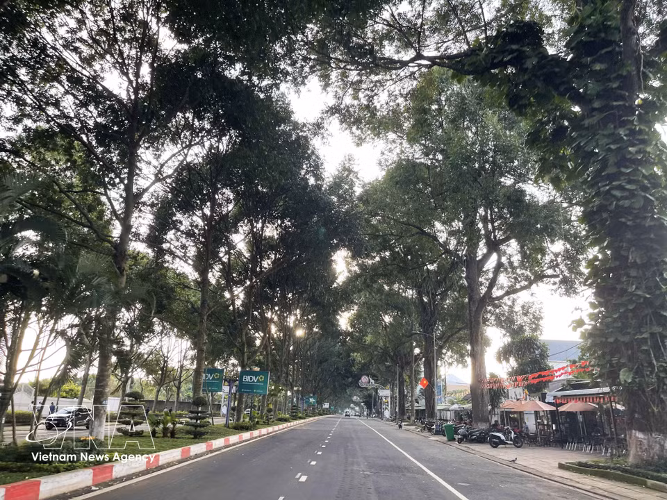 Dam San Street leads to Buon Ma Thuot Airport. (Photo: Kha Pham/VNA)