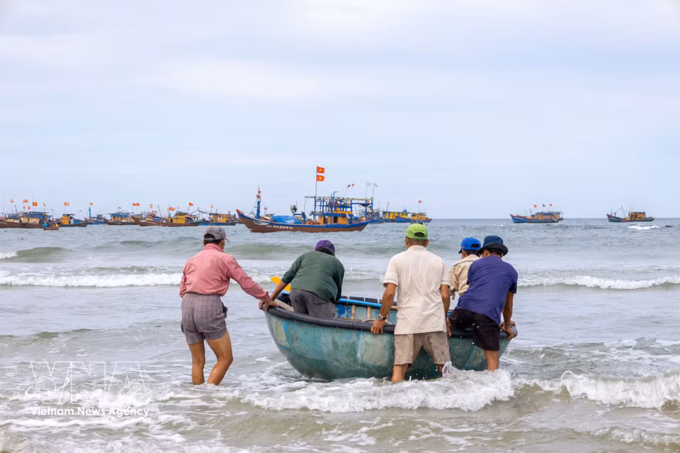 At around 4pm each day, fishing boats leave the shore one after another, heading out to sea for an overnight fishing trip that lasts until dawn. (Photo: Xuan Quy/VNA)