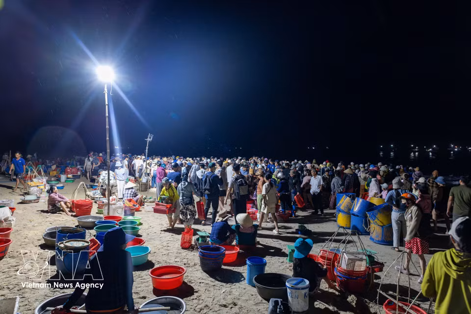 Tam Tien fish market has been a familiar fixture for decades, supporting generations of local fishermen and their families. (Photo: Xuan Quy/VNA)