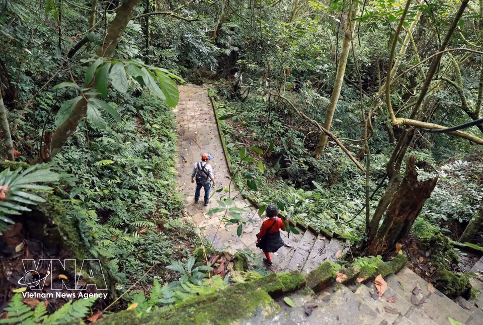 The road leading to the Pu Sam Cap cave system winds through pristine forest. (Photo: VNA)
