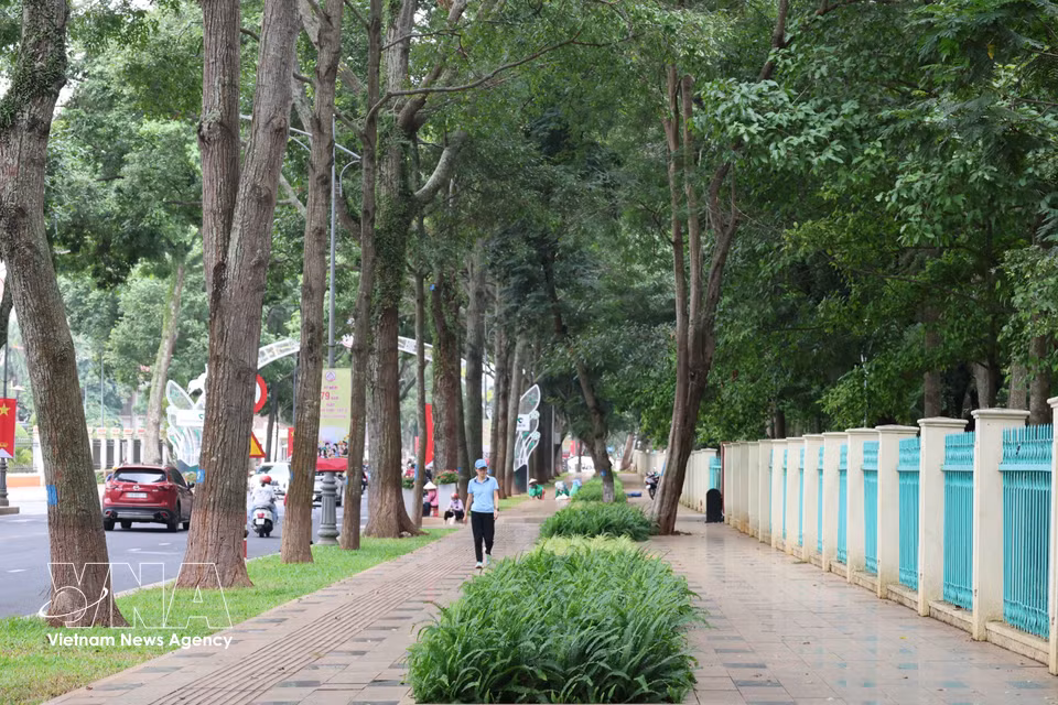 Spacious pavements shaded by mature trees in Buon Ma Thuot. (Photo: Kha Pham/VNA)