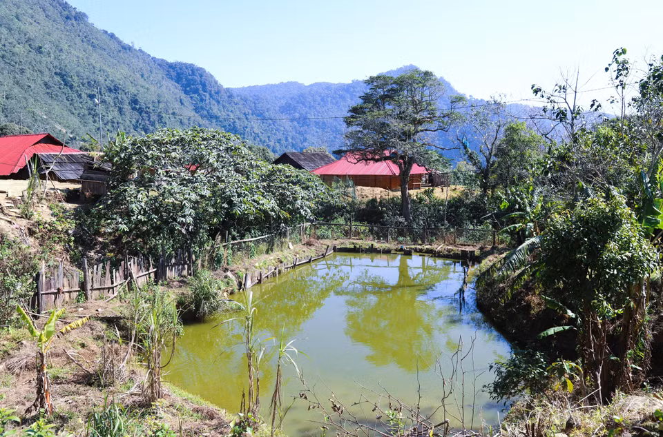 Mong people in Huoi Man village divert streams and build embankments to create fish ponds, providing food for their families. (Photo: Xuan Tien – VNA)