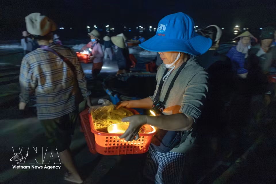 Fresh catches from a night at sea are brought straight from the boats to shore. (Photo: Xuan Quy/VNA)