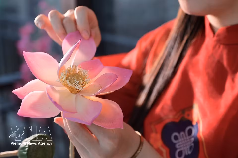 Each lotus petal is carefully shaped, curved and assembled by hand, giving the flower a soft, natural appearance. (Photo: Pham Tuan Anh/VNA)