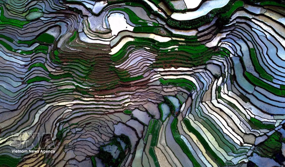Muong La commune in Son La province has around 360 hectares of rice paddies. Terraced rice cultivation is a traditional farming practice of the area's ethnic communities. (Photo: Quang Quyet/VNA)