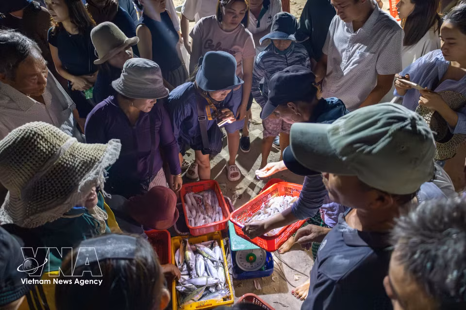 Fish and other seafood are sorted right on the beach before being loaded onto vehicles and transported to markets and other points of sale in the area. (Photo: Xuan Quy/VNA)