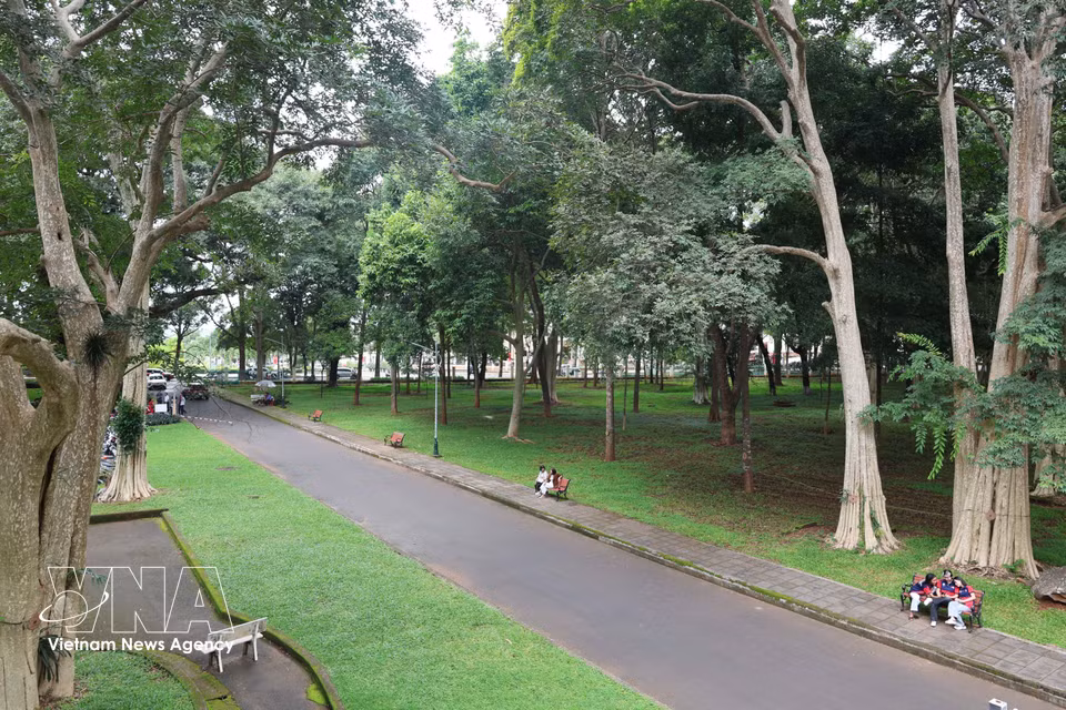 A cool, green oasis in the heart of Buon Ma Thuot. (Photo: Kha Pham/VNA)