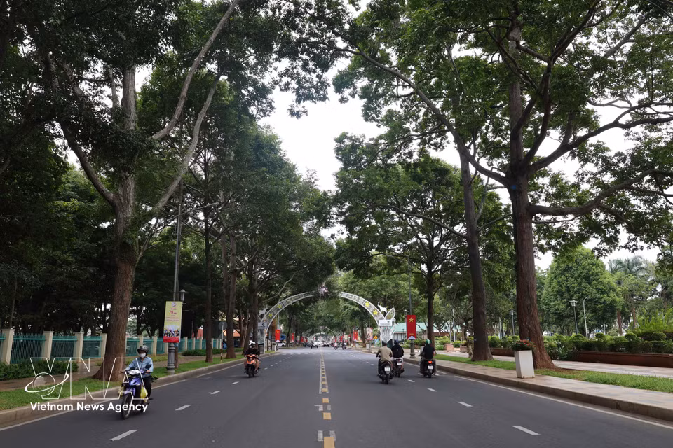Leafy streets shaded by mature trees in Buon Ma Thuot. (Photo: Kha Pham/VNA)