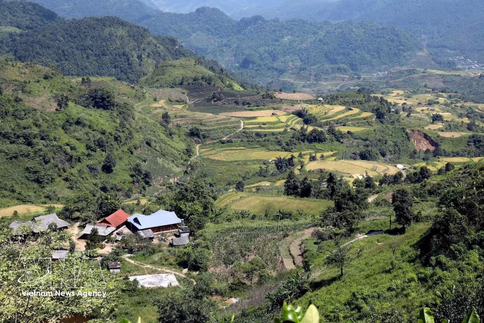 From Lao Chai village, visitors can enjoy sweeping views of terraced rice fields and the majestic surrounding landscape. (Photo: VNA)