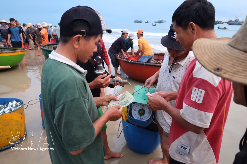 Fishermen sell their freshly caught seafood after a night at sea. (Photo: Xuan Quy/VNA)