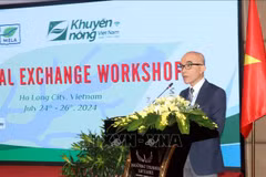 Deputy Director of the MARD’s International Cooperation Department To Viet Chau speaks at the workshop (Photo: VNA)