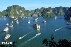 A view of Ha Long Bay in Quang Ninh province (Photo: VNA)
