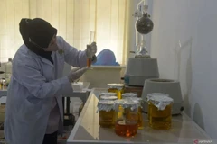 Indonesia aims to become a centre for clinical research in Southeast Asia. (https://en.antaranews.com/)