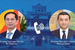 Vietnamese Minister of Foreign Affairs Bui Thanh Son (L) holds phone talks with his Uzbekistani counterpart Bakhtiyor Saidov. (Photo: VNA)
