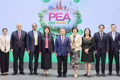 ADB is supporting Thailand's state utility operator - Provincial Electricity Authority (PEA), in issuing its first sustainability bond. (Photo: www.adb.org)