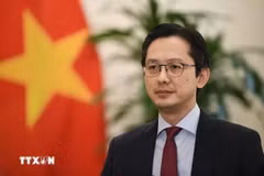 Deputy Minister of Foreign Affairs Do Hung Viet (Photo: VNA)