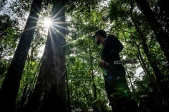 UNDP pledges to support Indonesia in realising climate goals 