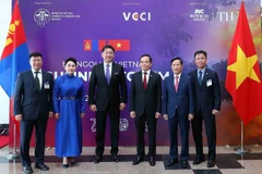Businesses an important force to boost Vietnam – Mongolia ties: Deputy PM