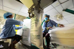 Vietnamese delegation visits China to bolster rice exports