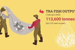 Tra fish exports hold promise after China reopens borders