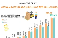 Vietnam posts trade surplus of 225 million USD in 11 months