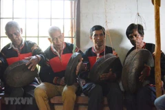 Gong casting introduced at seventh coffee festival
