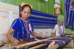 Efforts made to preserve ethnic brocade weaving