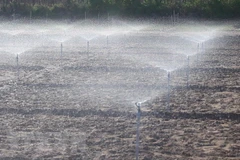 Promoting PPP cooperation to develop green agriculture