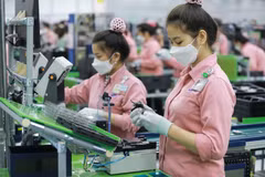 Foreign firms eye Vietnamese market