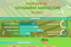 (Interactive) Overview of Vietnamese agriculture in 2021