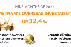 Vietnam's overseas investment in nine months up over 32 percent