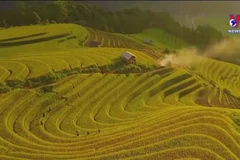 Yen Bai preserving ethnic minority cultures