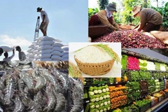 Agro-forestry-fishery exports top 3.7 billion USD in January
