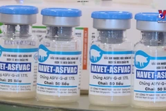 Vietnam’s African swine fever vaccine export makes headlines in RoK