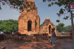 Cham ethnics in Binh Thuan celebrate Kate festival
