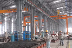 Financial support needed for steel firms to go green: expert