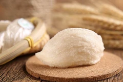 Efforts to export bird’s nests to China via official channels