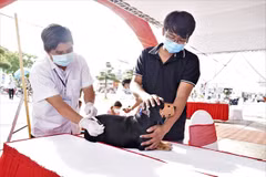 FAO, WHO, US CDC commit to standing with Vietnam against rabies