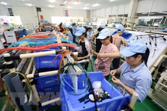 Vietnam eyes 7 percent GDP growth this year: Investment minister