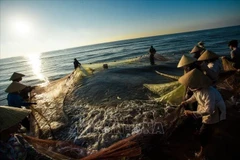 Vietnam to develop sustainable, responsible fishery