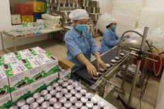 Large room for Vietnam’s dairy farming industry to flourish