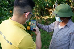 7.5 million farming households to be connected to postmart.vn